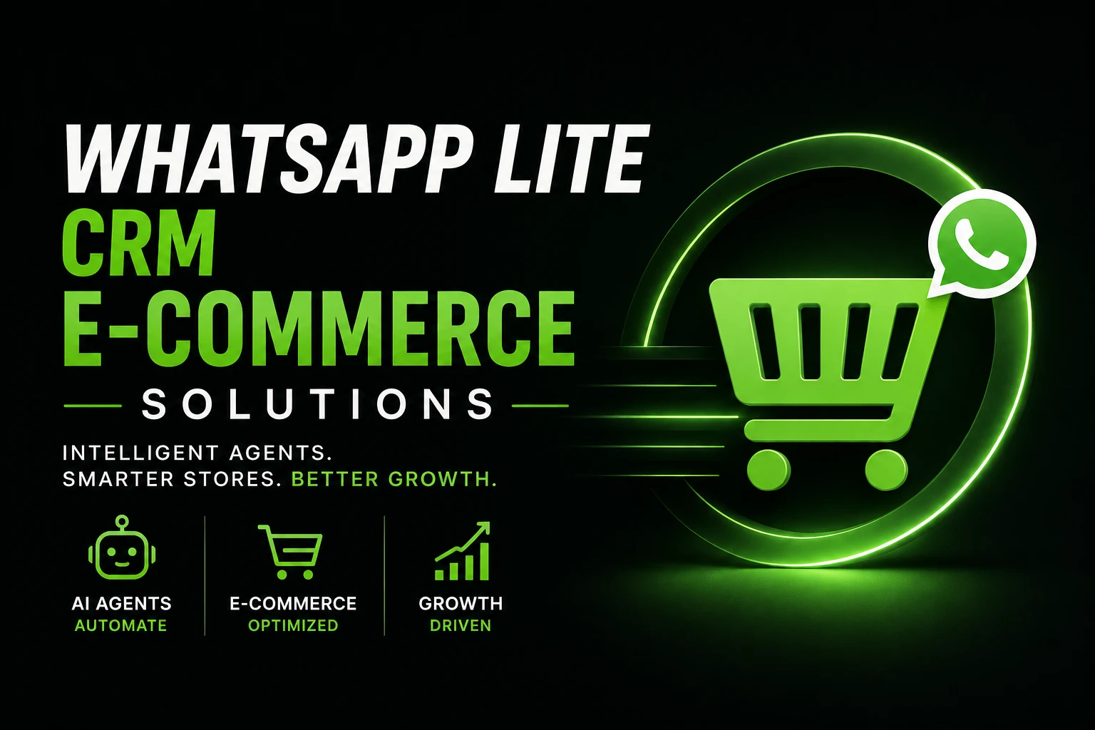 Agentic E-commerce Solutions